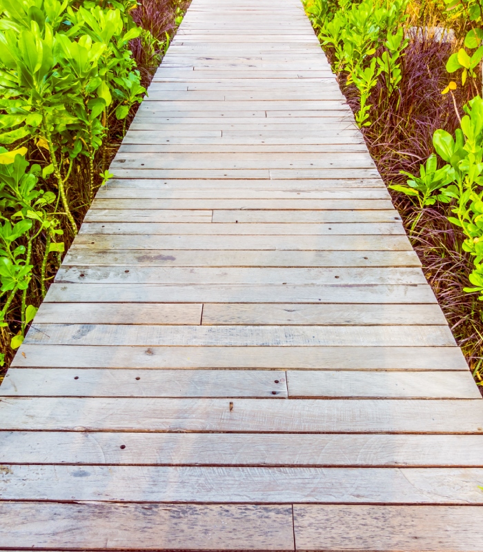 Passerelle en lames de terrasse bois pour aménagement extérieur, cheminement durable au jardin – Établissements Bottarel Hervé & Fils