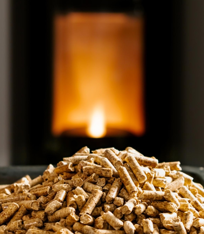 Granulés de bois (pellets) devant la flamme d’un poêle, chauffage performant – Établissements Bottarel Hervé & Fils